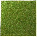 Repti-Zoo Natural Moss Back&Bottom - background and substrate made of moss 45x45cm